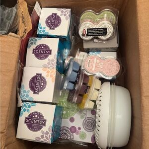 Box full of Scentsy!